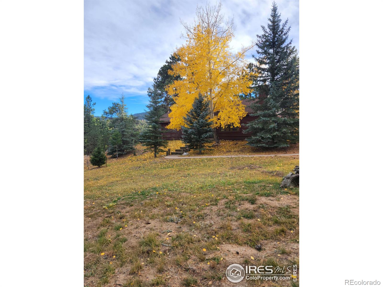 MLS Image #17 for 912  rambling drive,estes park, Colorado