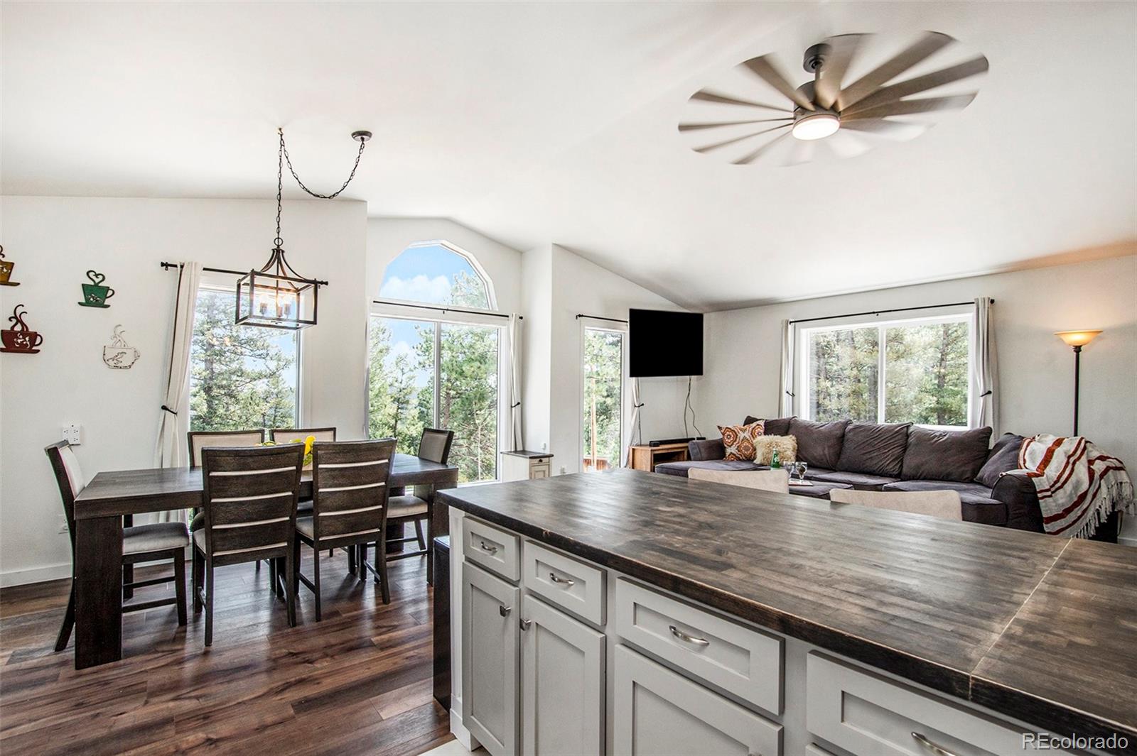MLS Image #14 for 33735  isham jones road,pine, Colorado