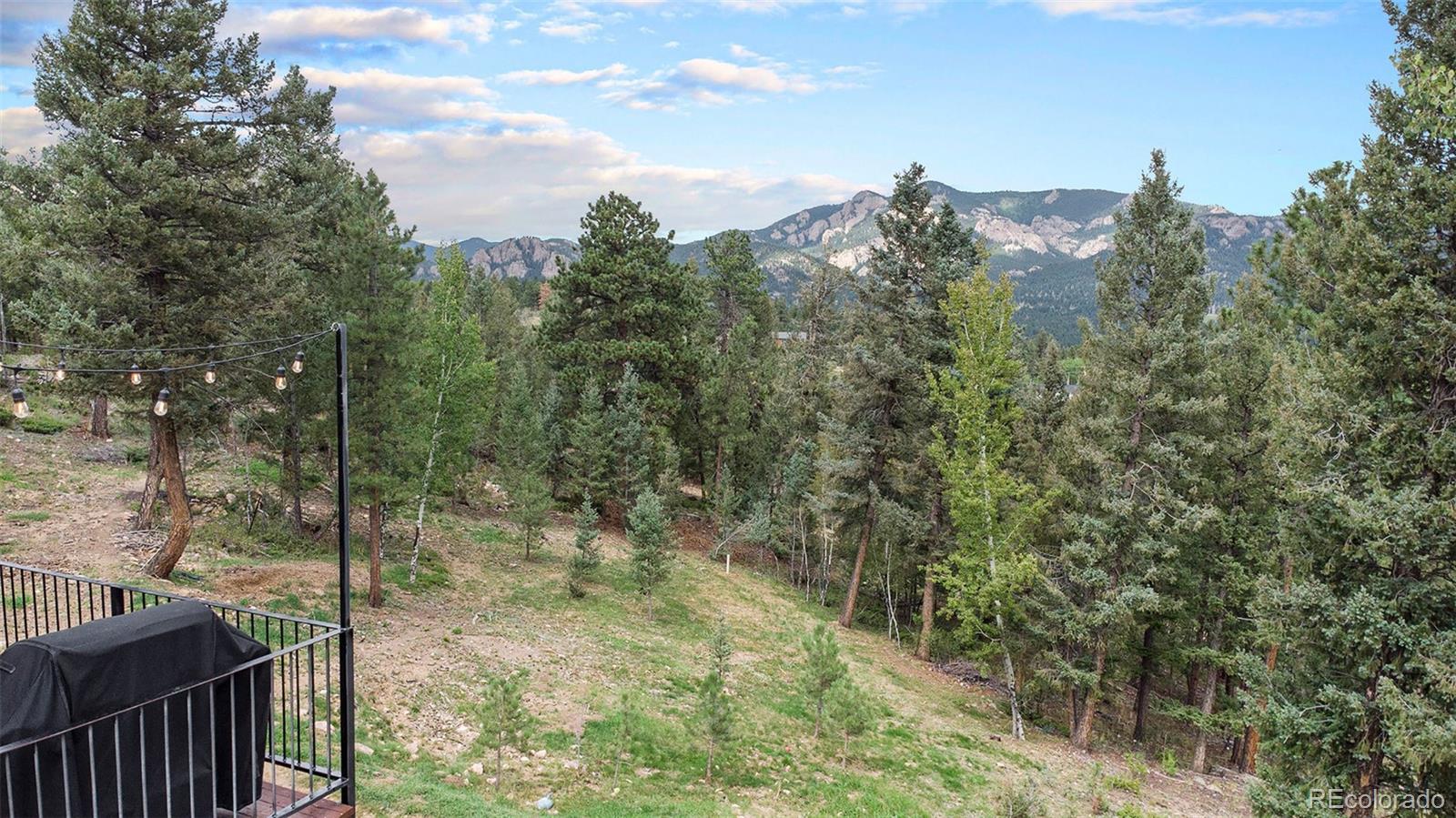 MLS Image #37 for 33735  isham jones road,pine, Colorado
