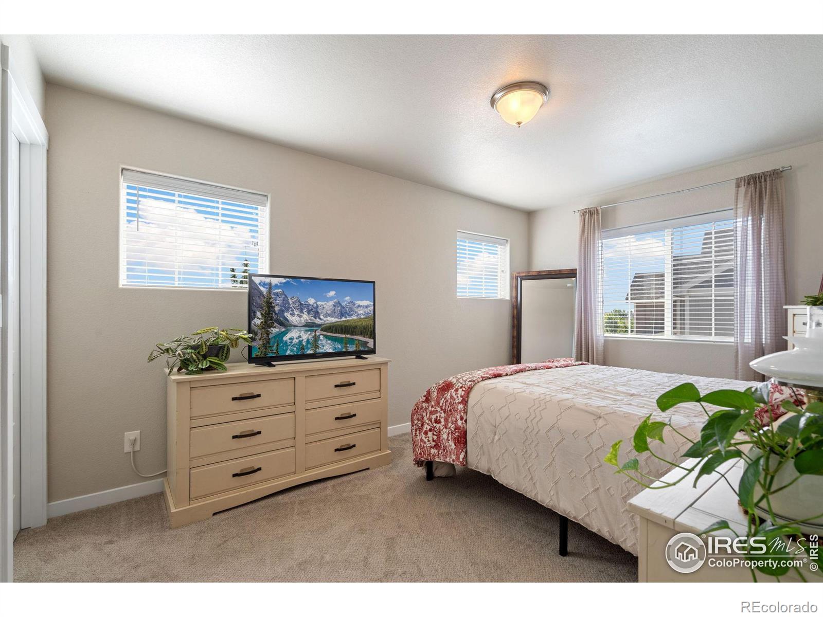 MLS Image #19 for 2164  day spring drive,windsor, Colorado