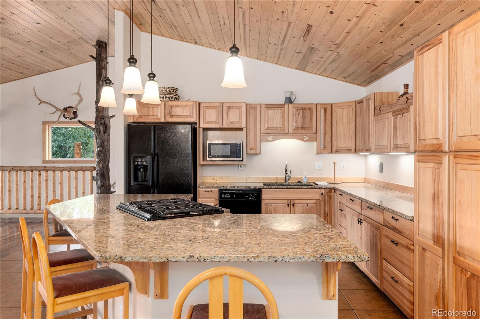 MLS Image #19 for 945  ponderosa road,alma, Colorado