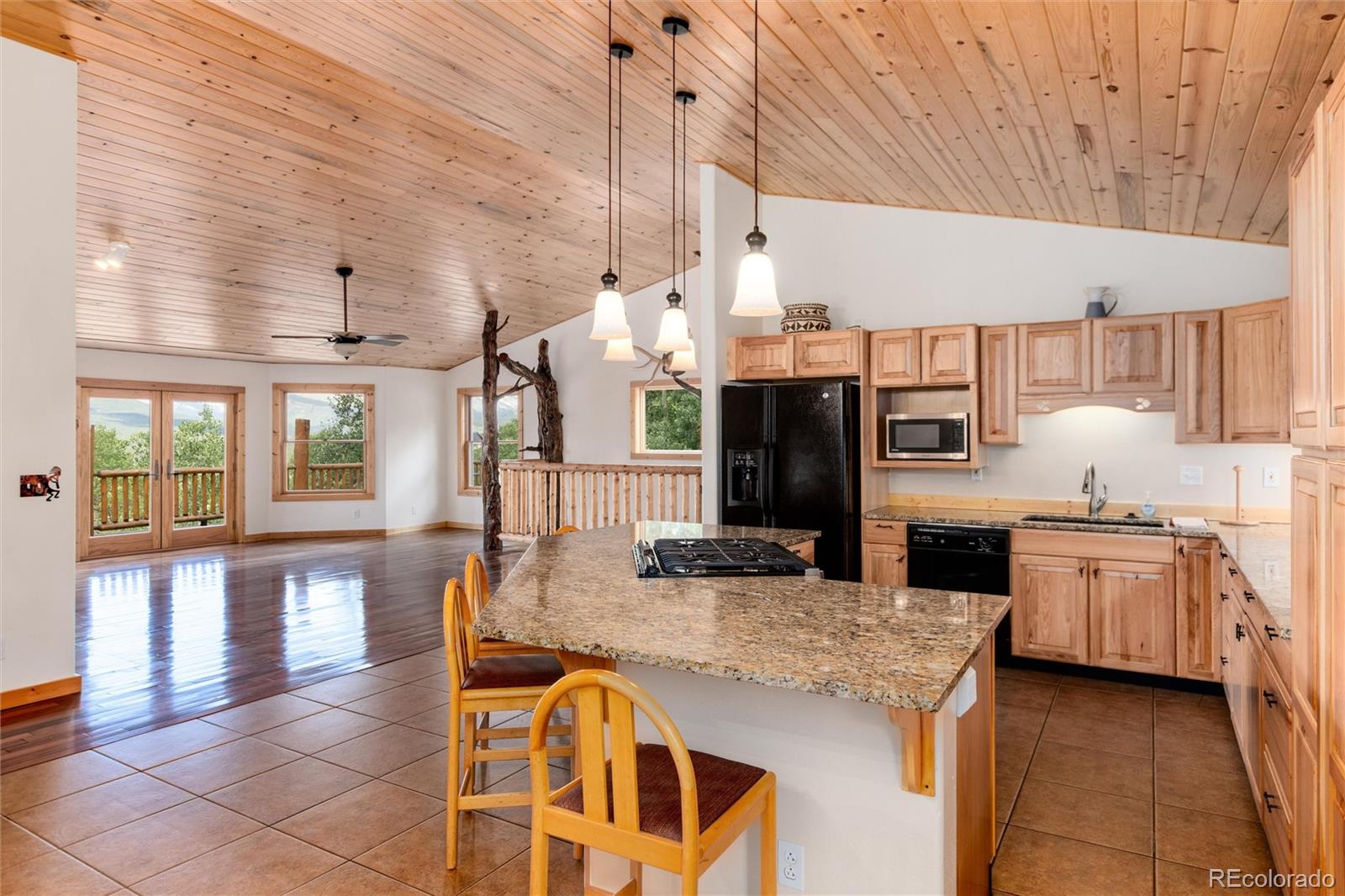 MLS Image #20 for 945  ponderosa road,alma, Colorado