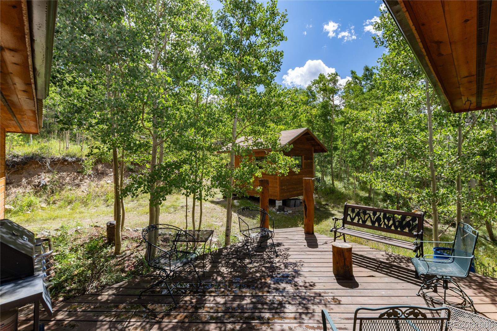 MLS Image #43 for 945  ponderosa road,alma, Colorado