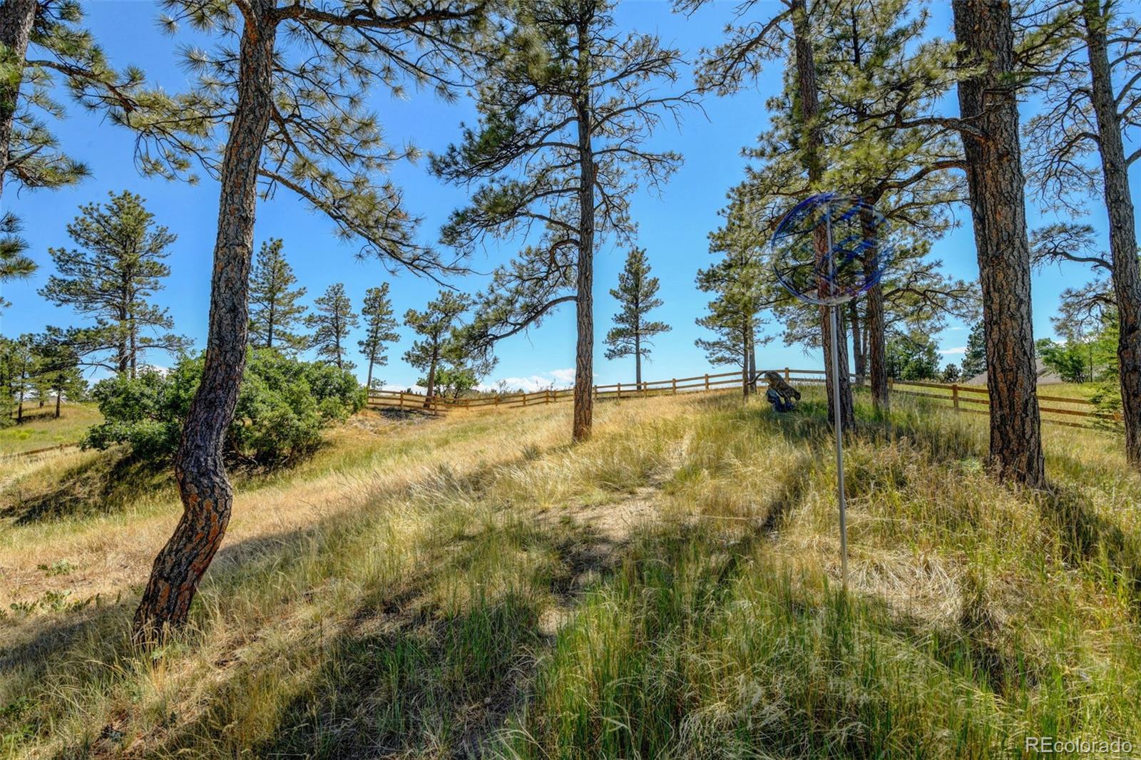 MLS Image #44 for 9218  lone timber court,parker, Colorado