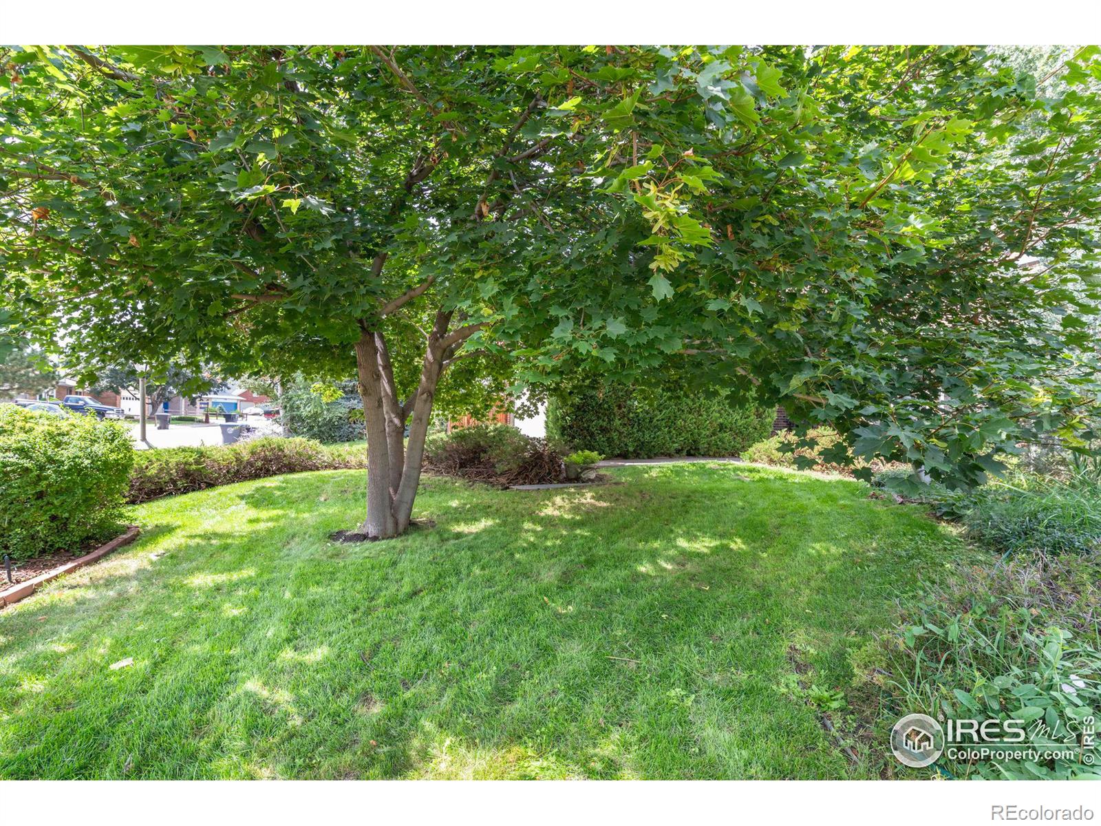 MLS Image #32 for 1300  gay circle,longmont, Colorado