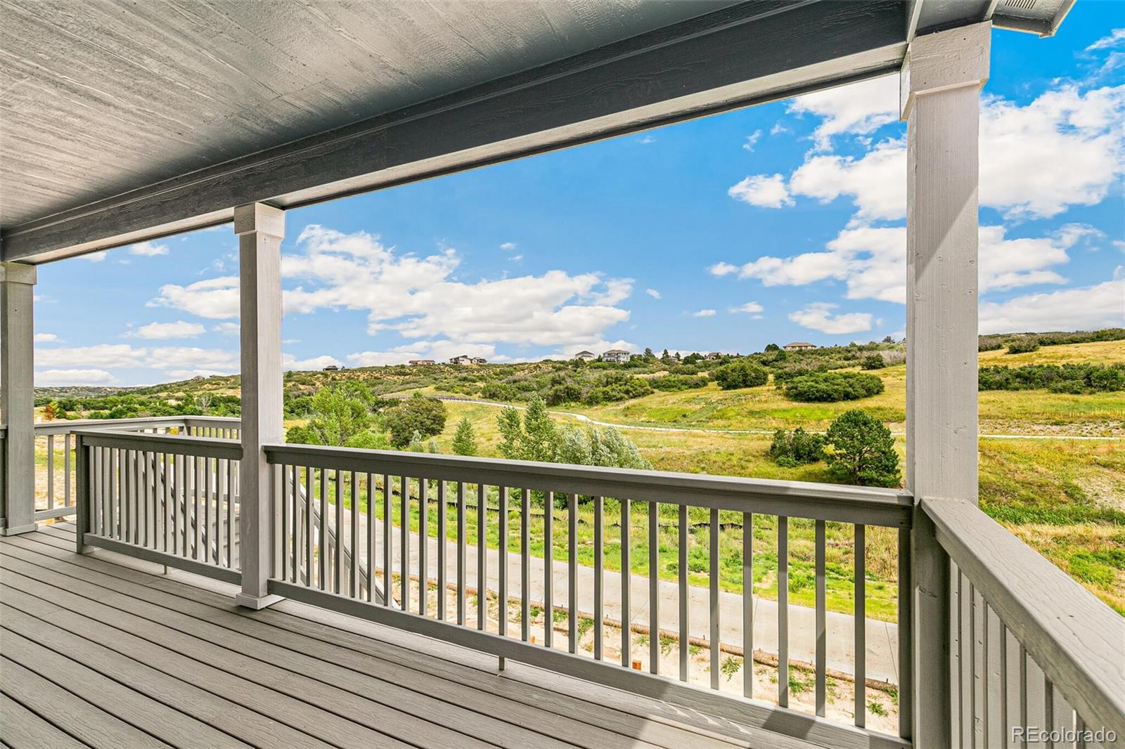 MLS Image #16 for 4438  soapberry place,castle rock, Colorado