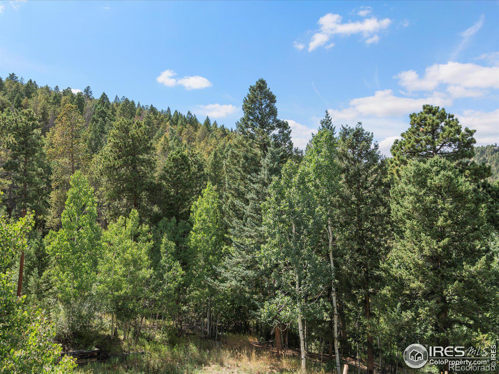 MLS Image #30 for 31851  warrens road,golden, Colorado