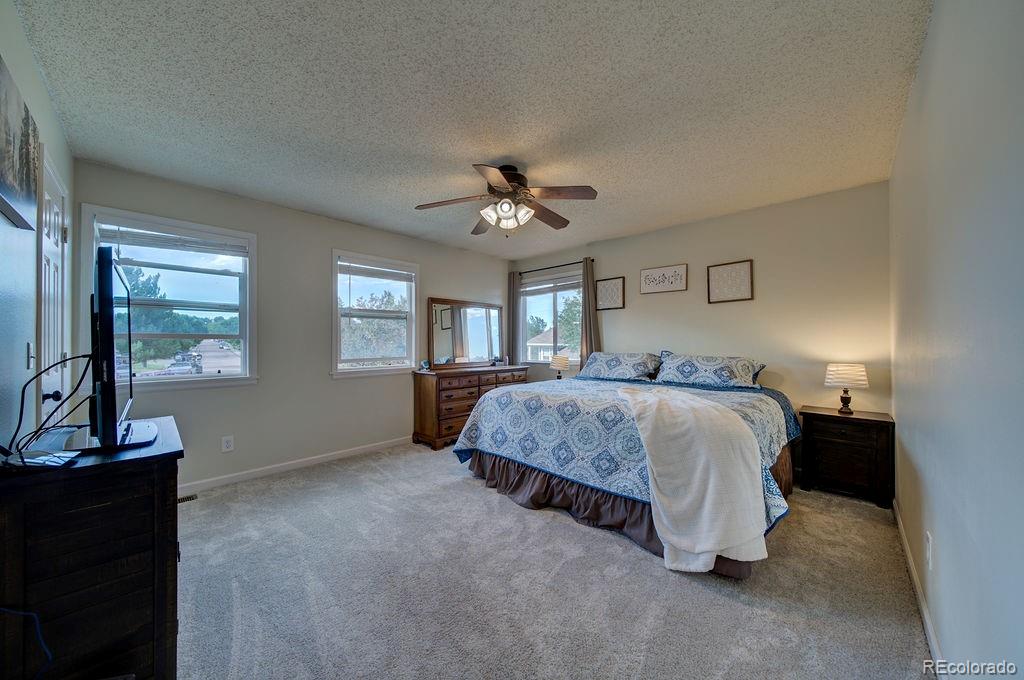 MLS Image #16 for 4040  meadowdale place,colorado springs, Colorado