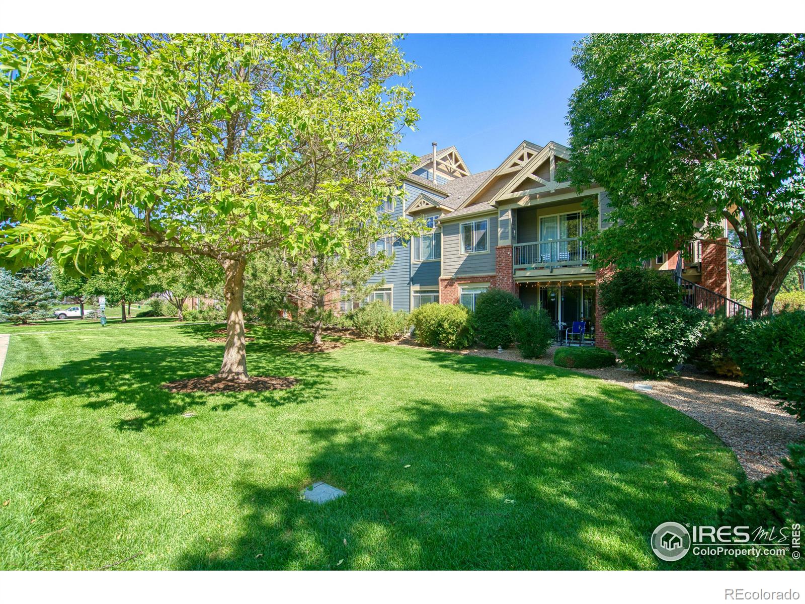 MLS Image #20 for 804  summer hawk drive,longmont, Colorado