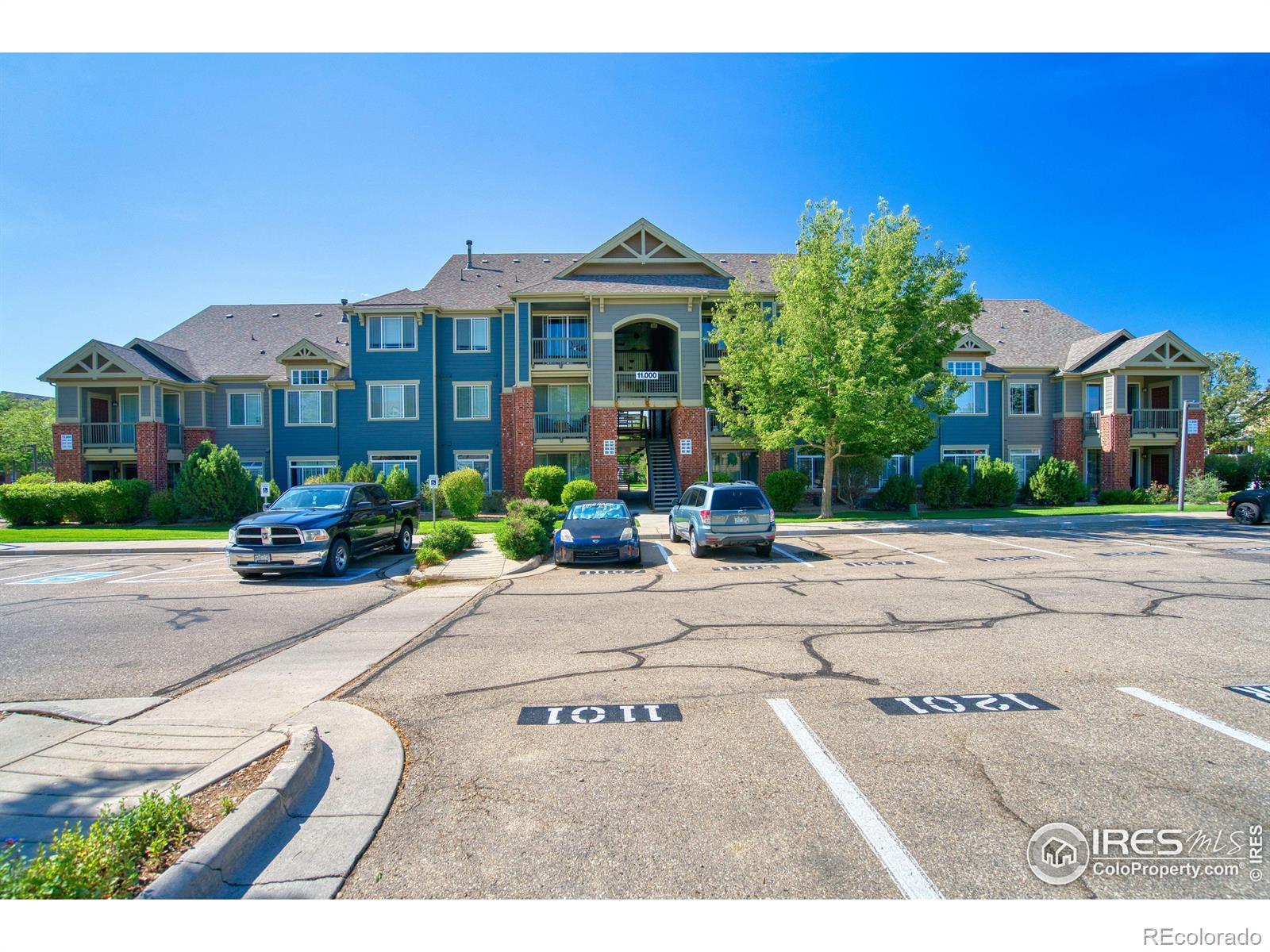 MLS Image #21 for 804  summer hawk drive,longmont, Colorado