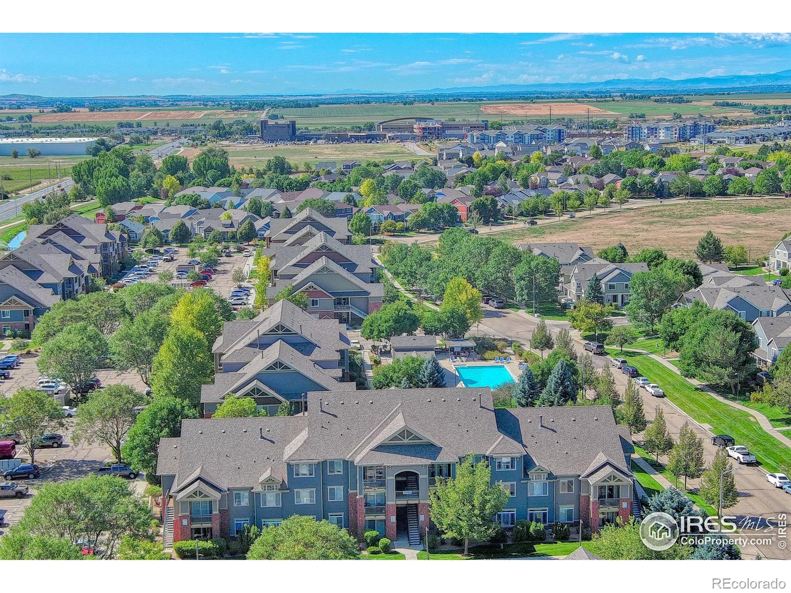 MLS Image #22 for 804  summer hawk drive,longmont, Colorado