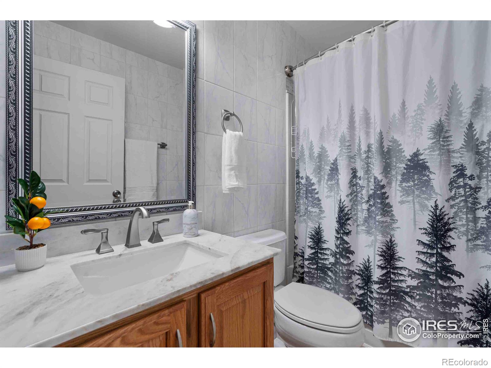 MLS Image #17 for 3912  beechwood lane,johnstown, Colorado