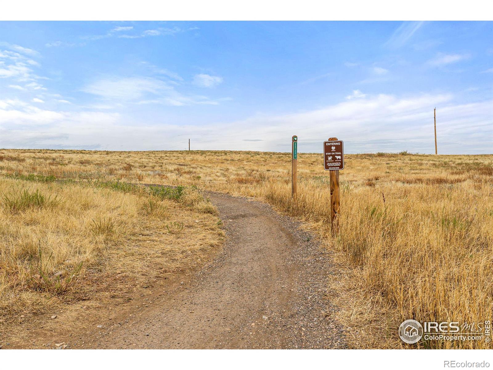 MLS Image #34 for 522  paintbrush lane,superior, Colorado