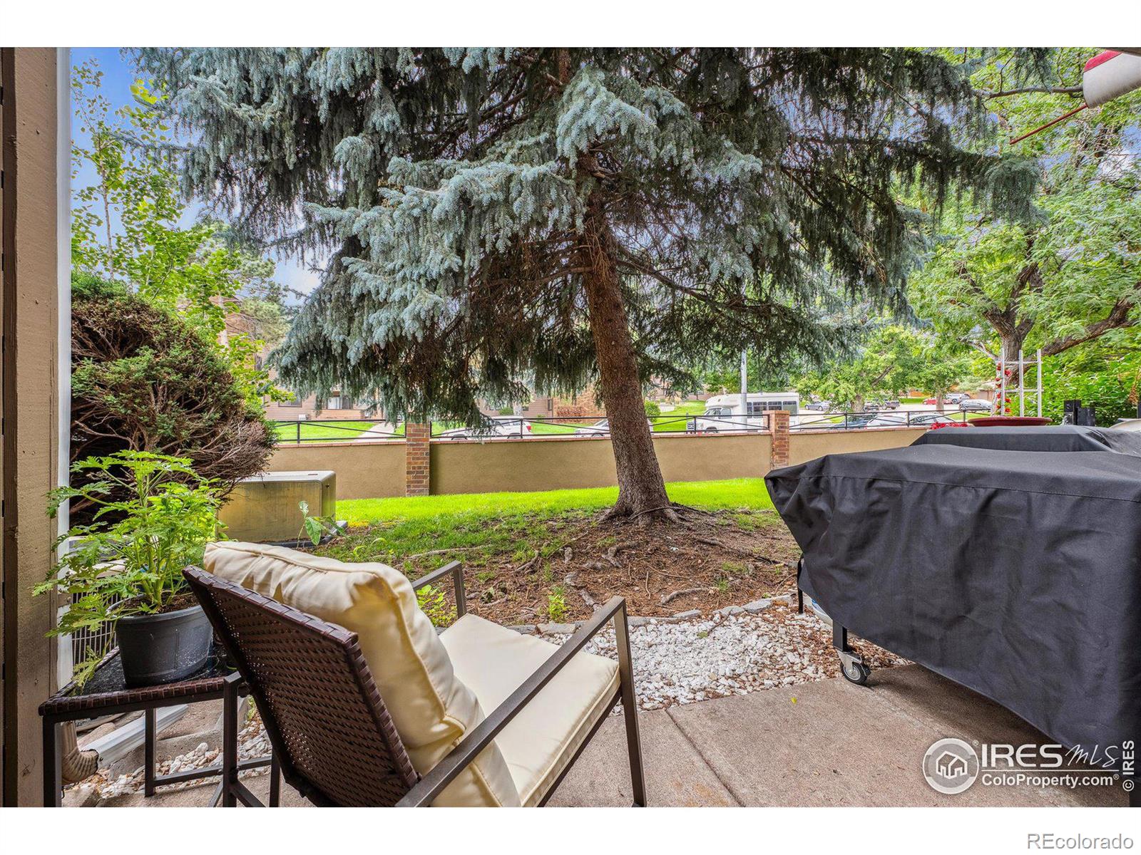 MLS Image #18 for 312  wright street,lakewood, Colorado