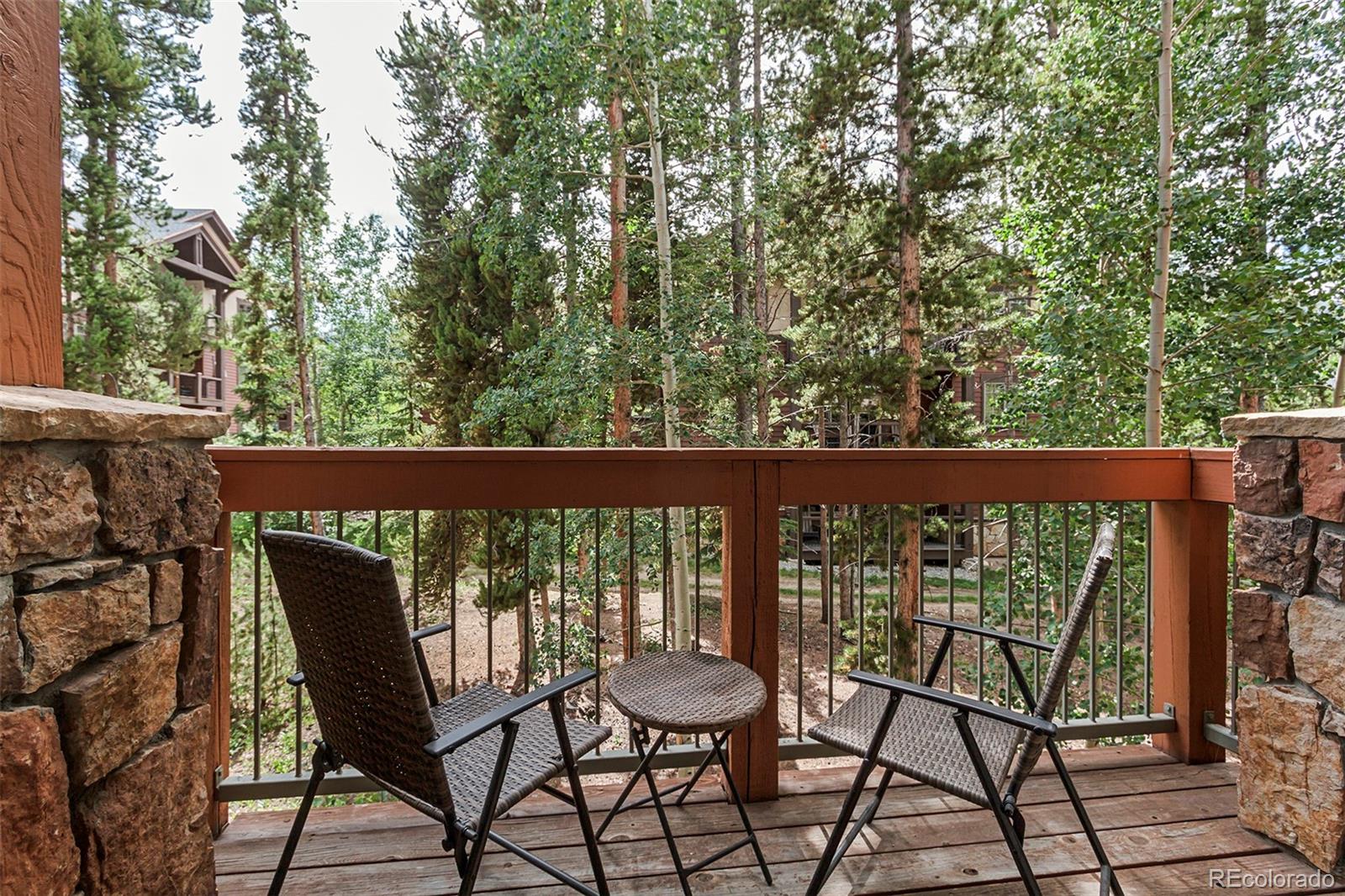 MLS Image #6 for 43  snowflake drive,breckenridge, Colorado