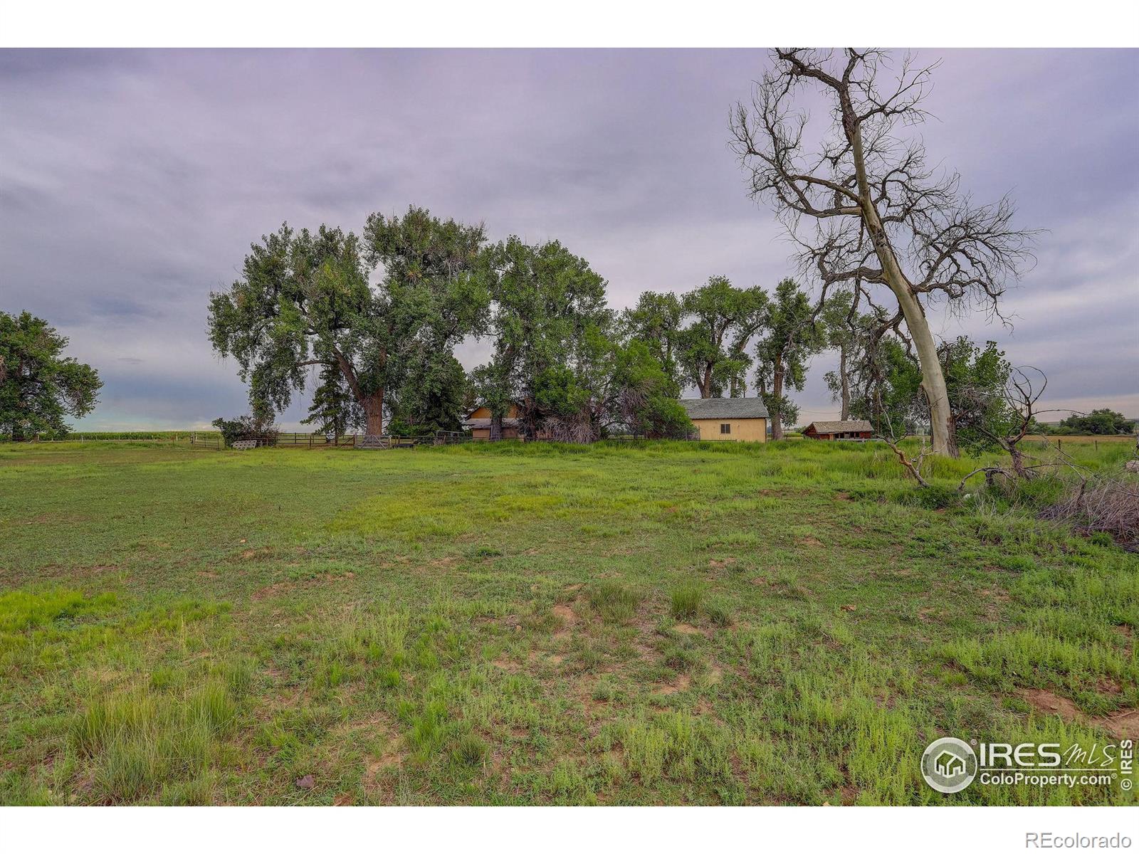 MLS Image #32 for 6560  county road 52 1/4 ,johnstown, Colorado