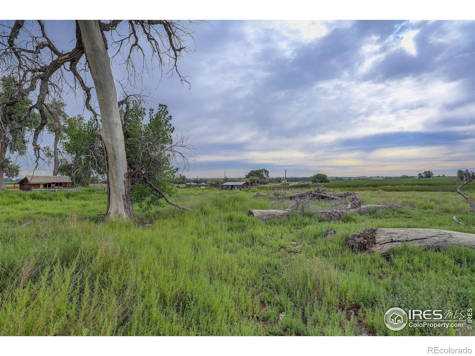 MLS Image #35 for 6560  county road 52 1/4 ,johnstown, Colorado