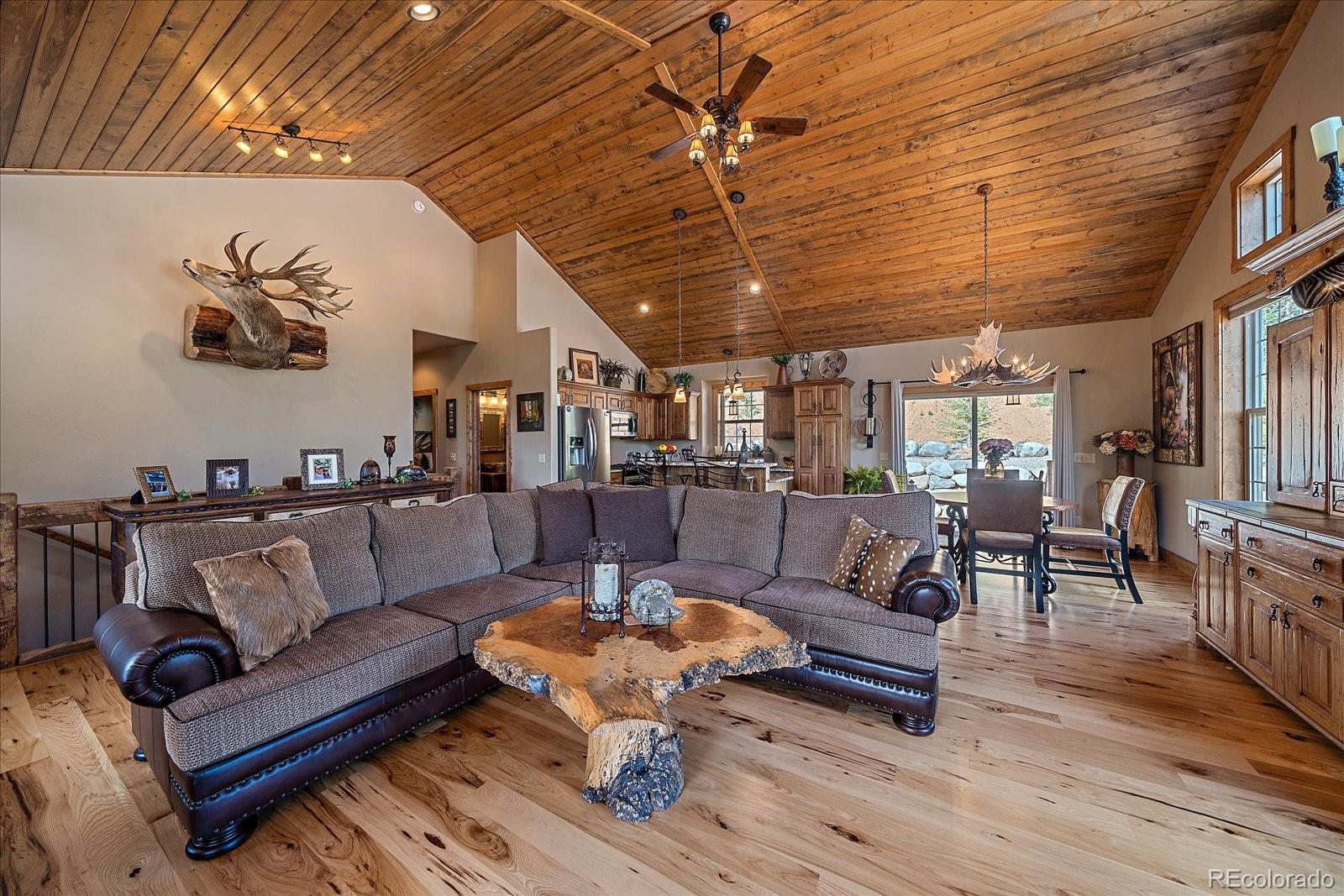MLS Image #10 for 2894  county road 43 ,bailey, Colorado