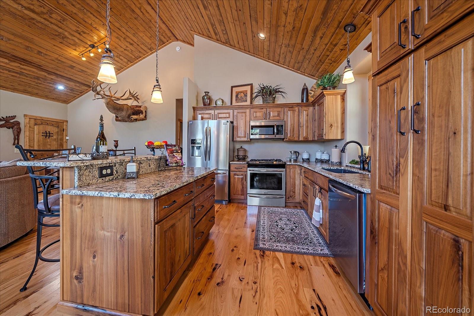 MLS Image #13 for 2894  county road 43 ,bailey, Colorado