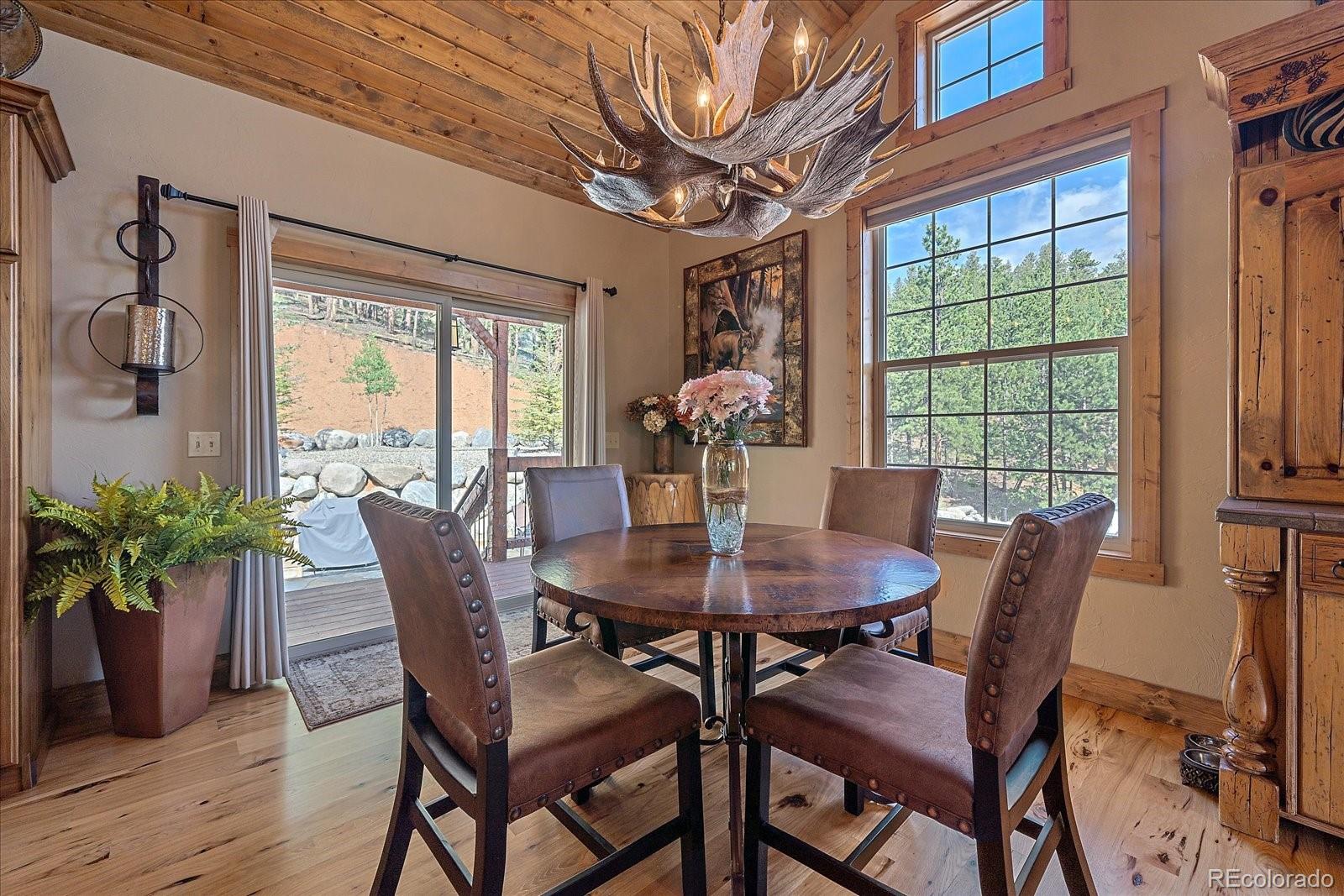 MLS Image #15 for 2894  county road 43 ,bailey, Colorado