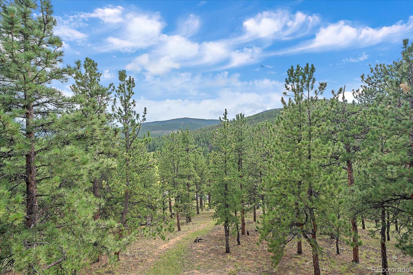 MLS Image #29 for 2894  county road 43 ,bailey, Colorado