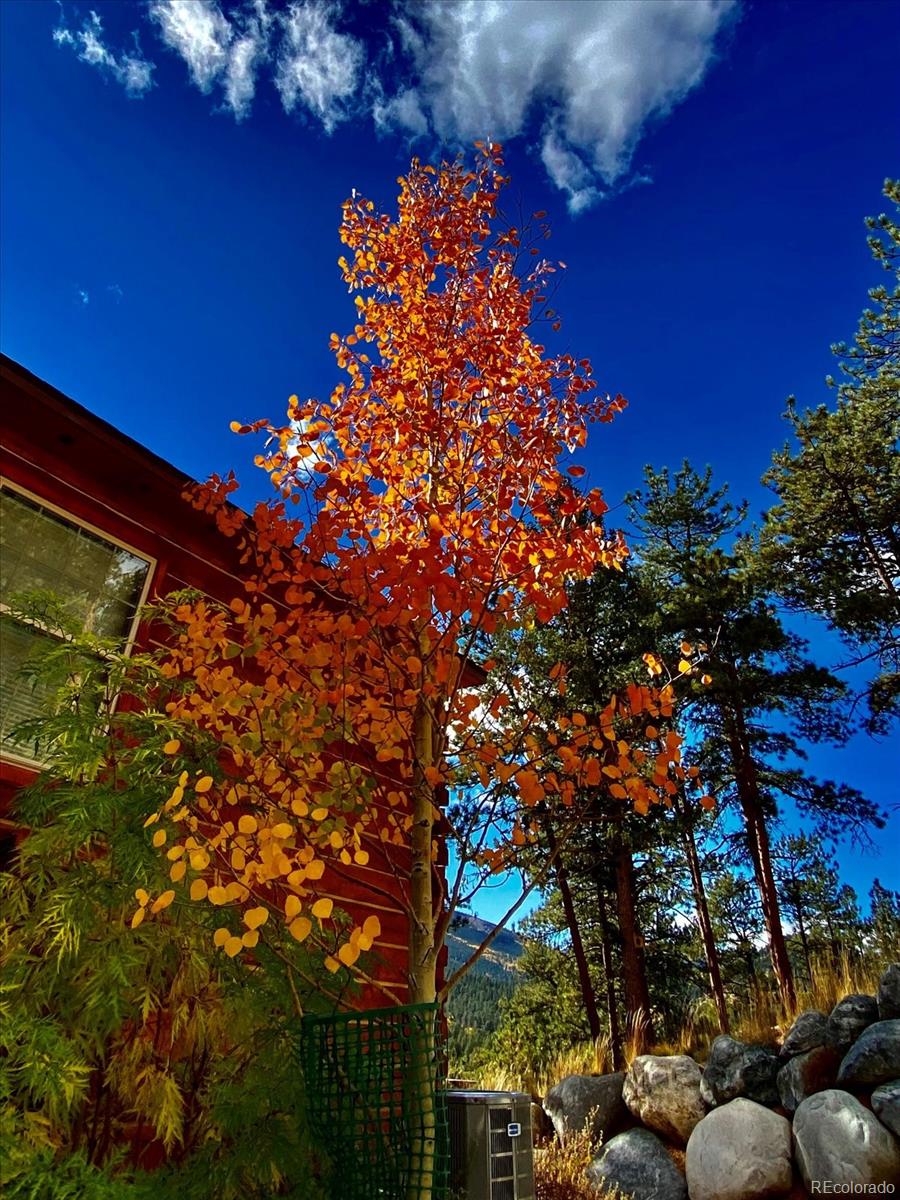 MLS Image #43 for 2894  county road 43 ,bailey, Colorado