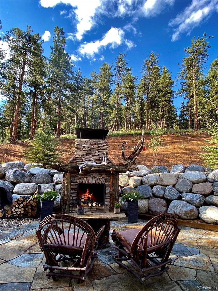 MLS Image #44 for 2894  county road 43 ,bailey, Colorado