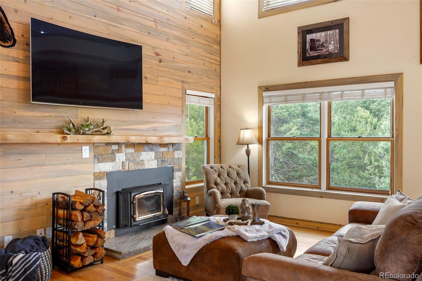 MLS Image #6 for 436  saguache ,florissant, Colorado