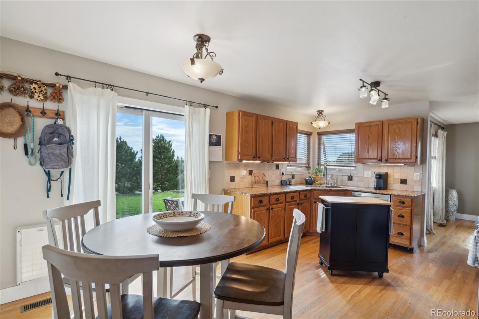 MLS Image #22 for 12165  gila river trail,elbert, Colorado