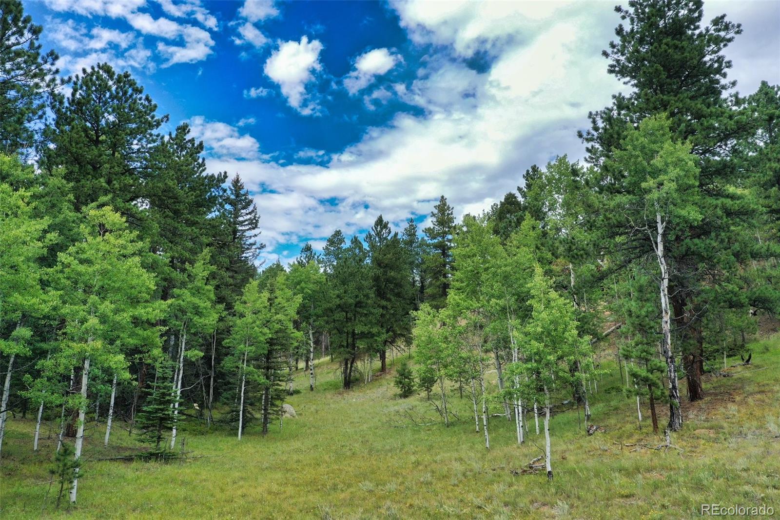 MLS Image #47 for 8549  cedar mountain road,divide, Colorado