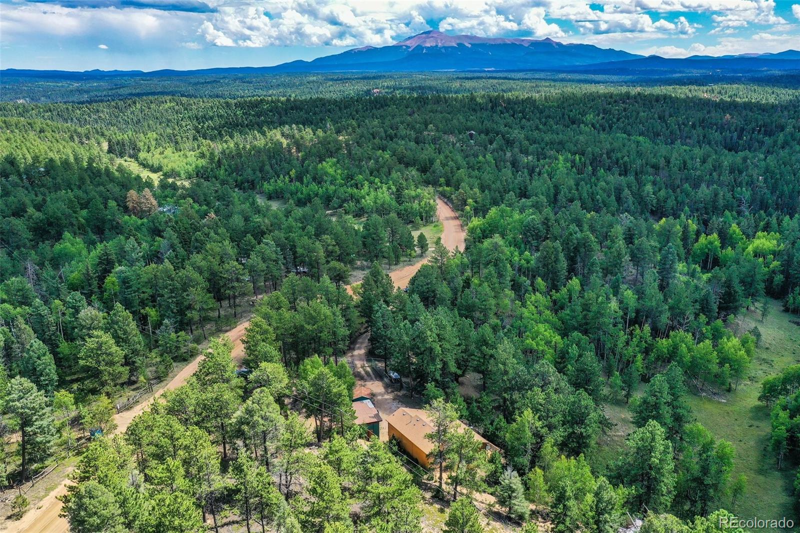 MLS Image #48 for 8549  cedar mountain road,divide, Colorado