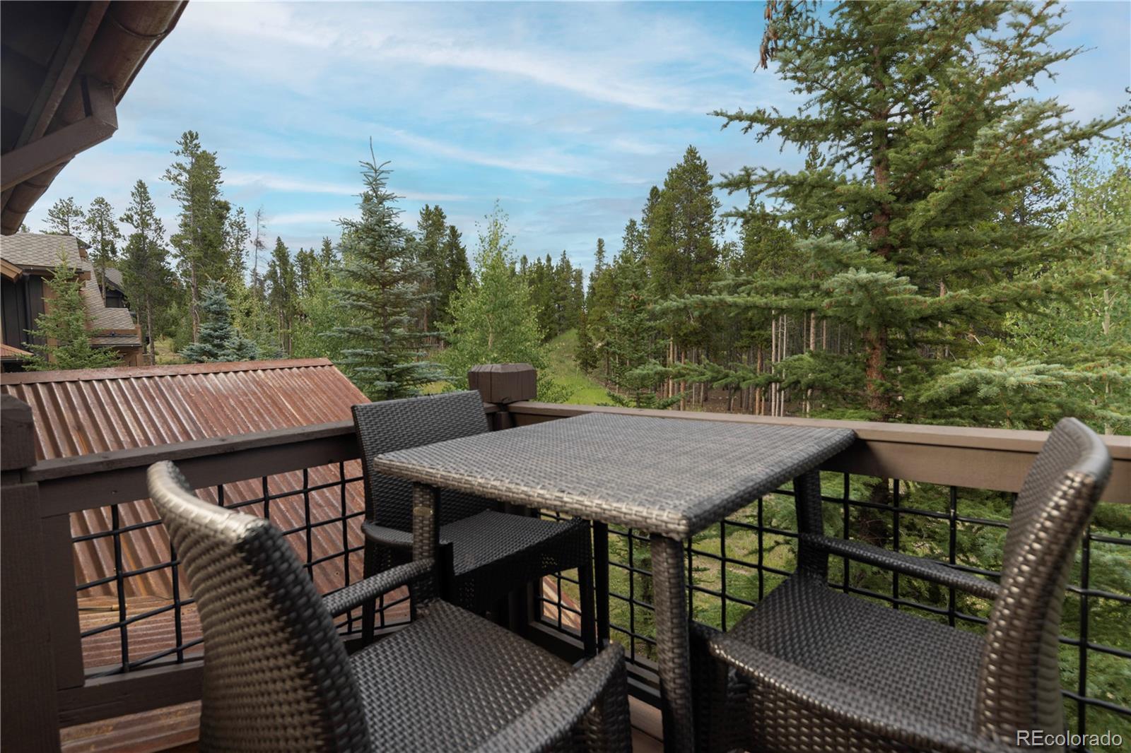 MLS Image #18 for 66  regent drive,breckenridge, Colorado