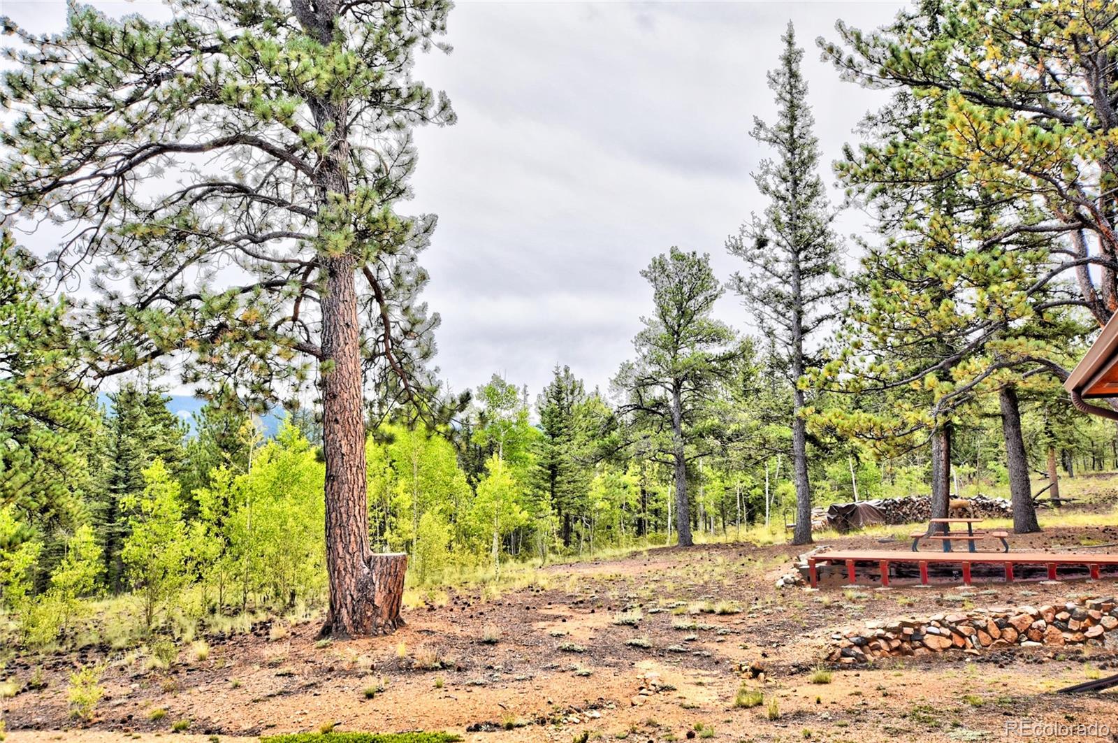 MLS Image #24 for 872  willow way,jefferson, Colorado