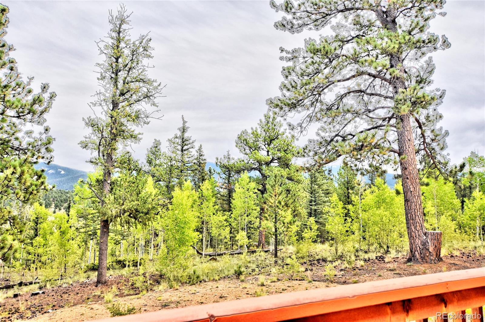 MLS Image #3 for 872  willow way,jefferson, Colorado