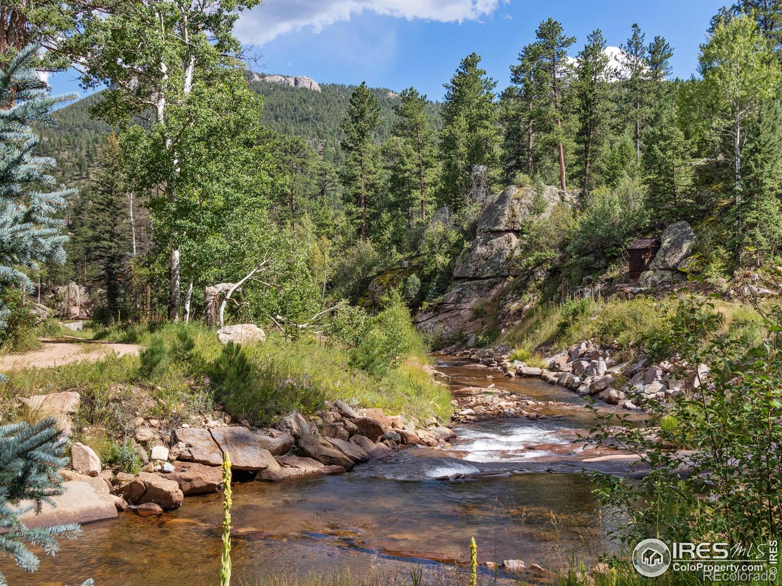 MLS Image #3 for 424  west creek road,glen haven, Colorado