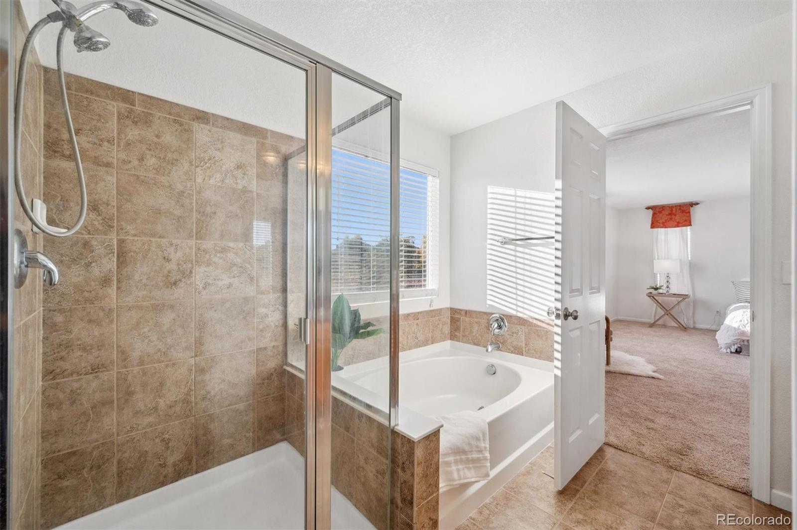 MLS Image #43 for 17048 e trailmaster drive,parker, Colorado