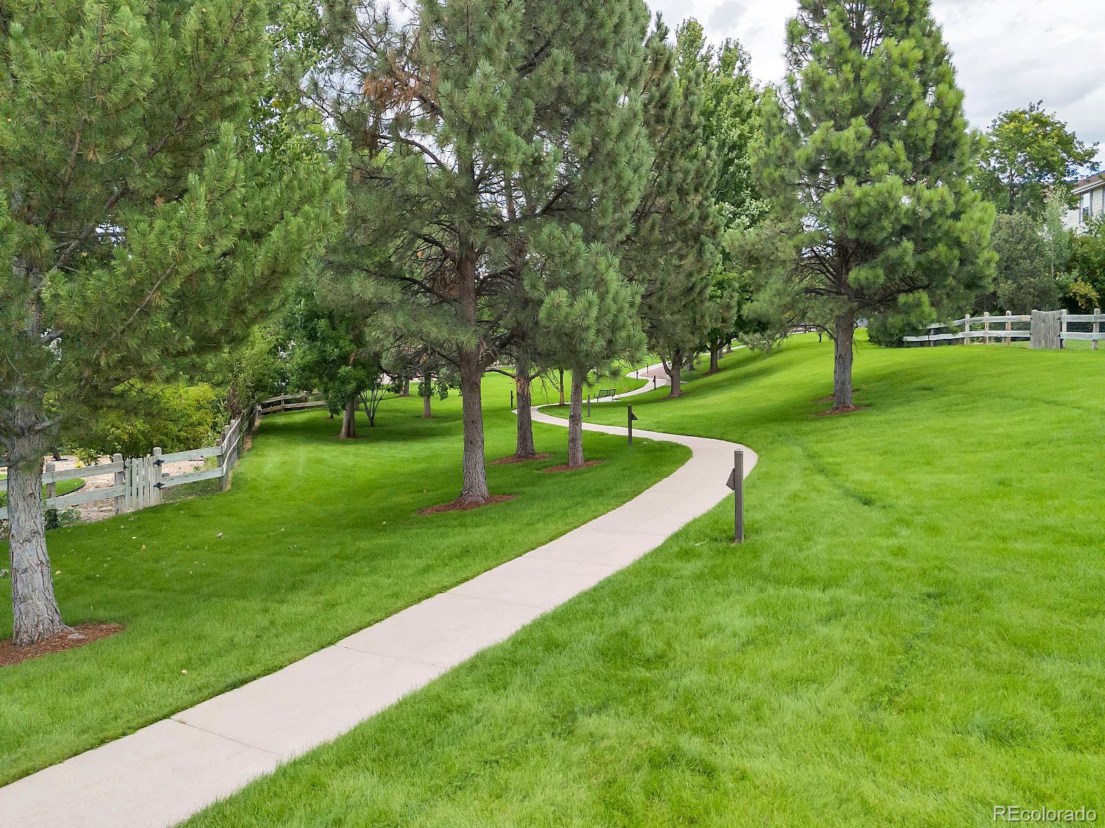 MLS Image #41 for 7250  brighton place,castle pines, Colorado