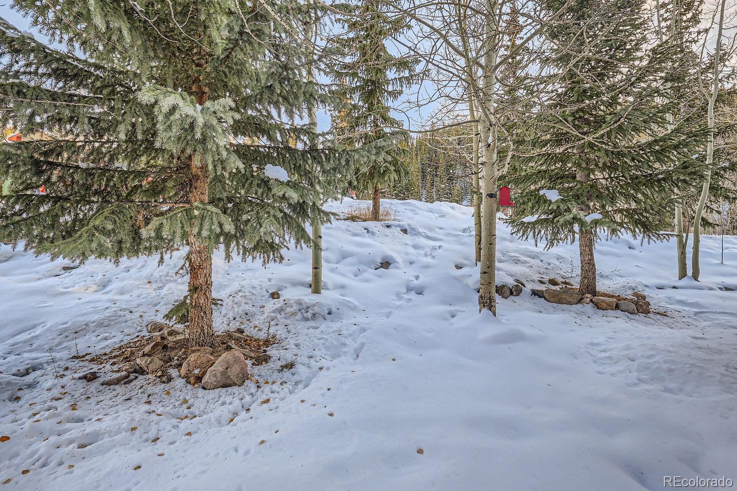 MLS Image #10 for 302  illinois gulch road,breckenridge, Colorado