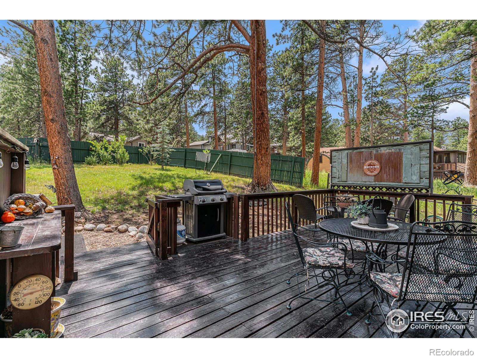 MLS Image #17 for 1160  broadview road,estes park, Colorado