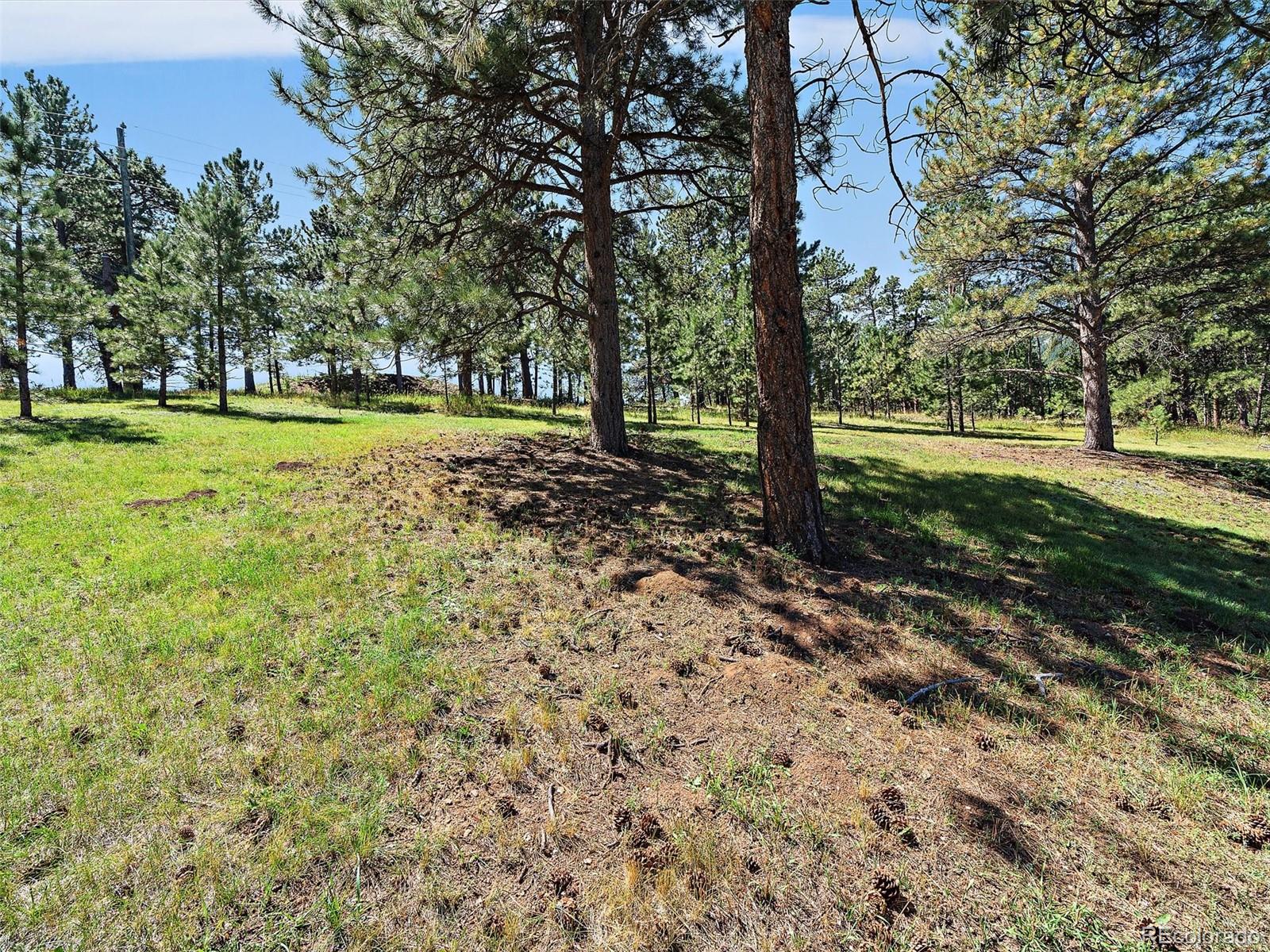 MLS Image #39 for 31990  mission lane,evergreen, Colorado