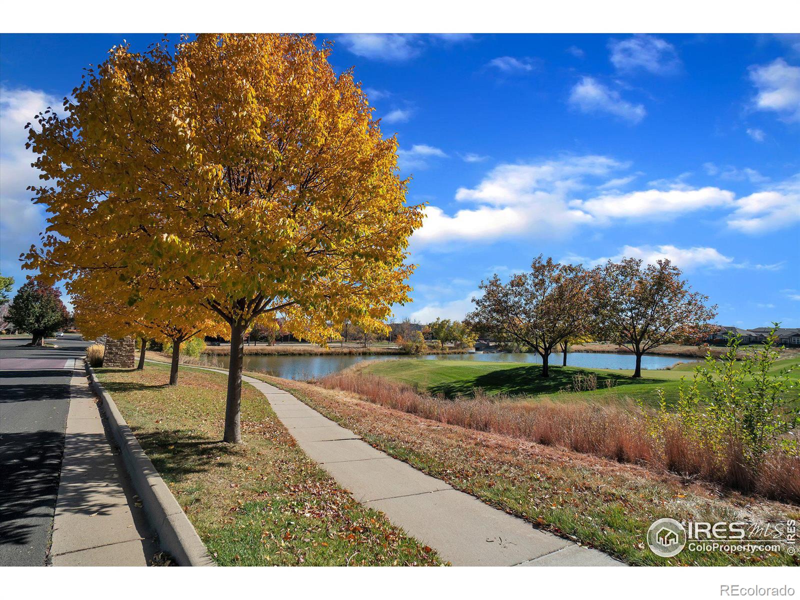 MLS Image #34 for 4335  lexi circle,broomfield, Colorado