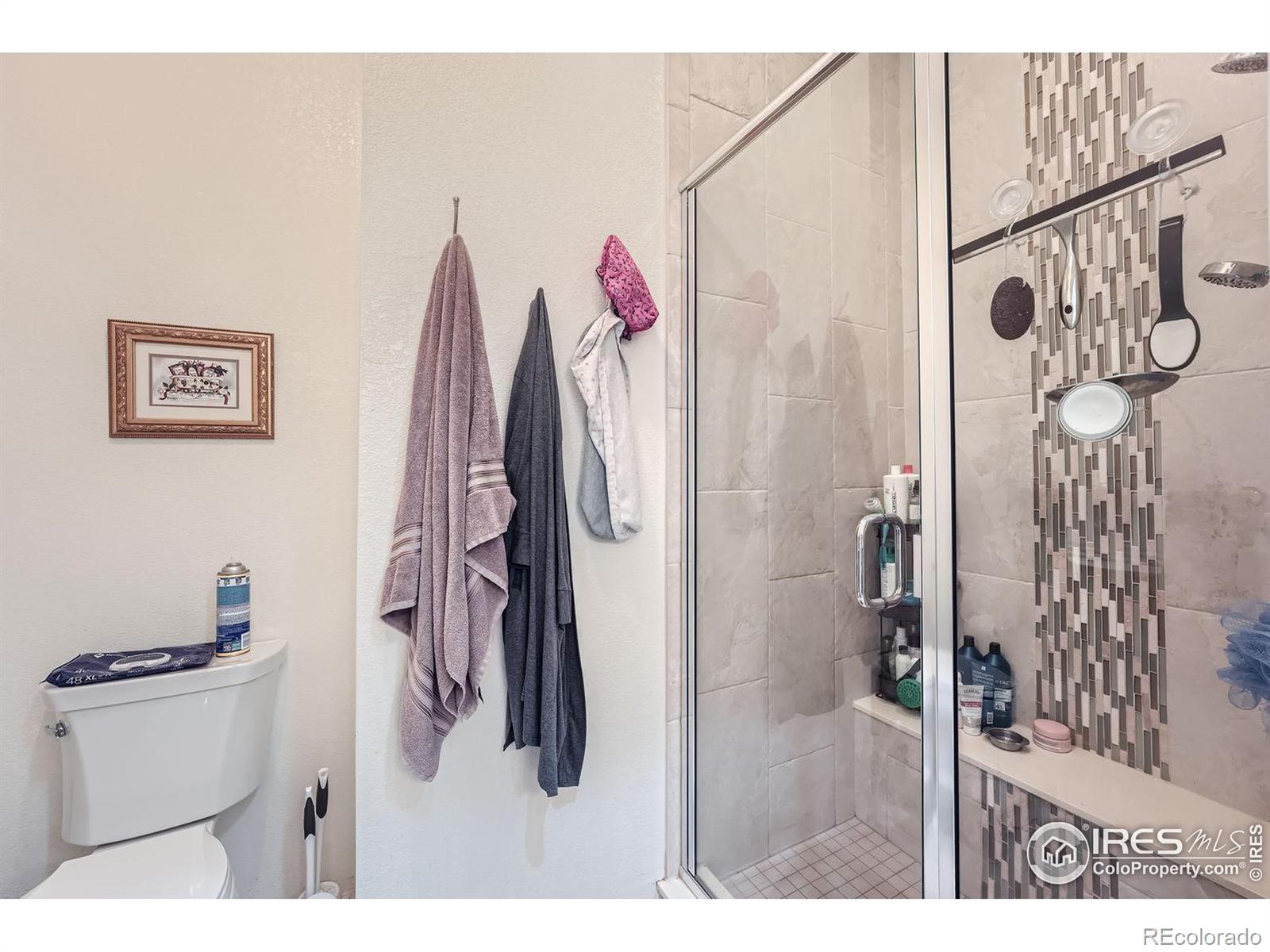 MLS Image #13 for 16579 w 86th place,arvada, Colorado