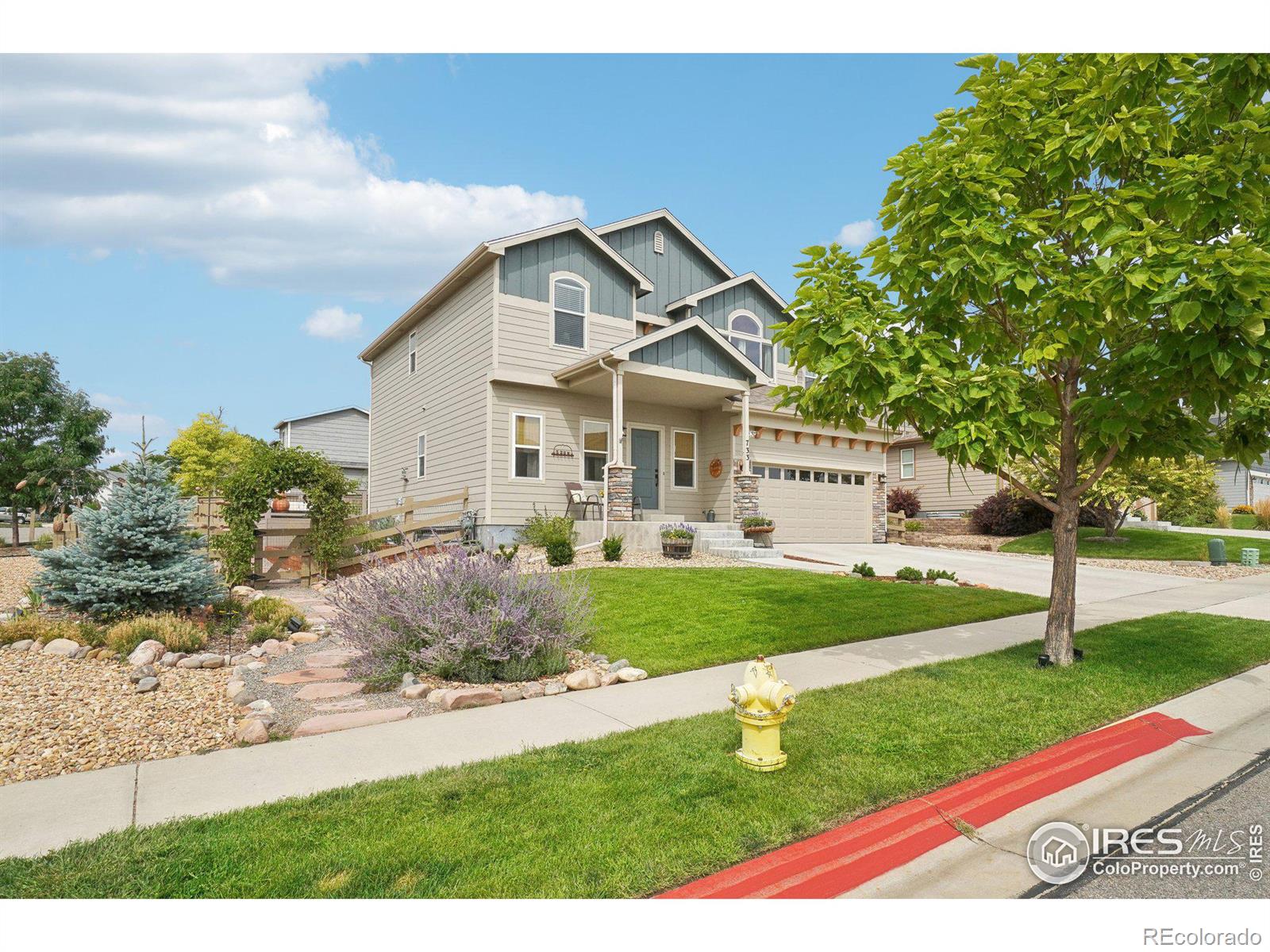 MLS Image #3 for 733  canyonlands street,berthoud, Colorado