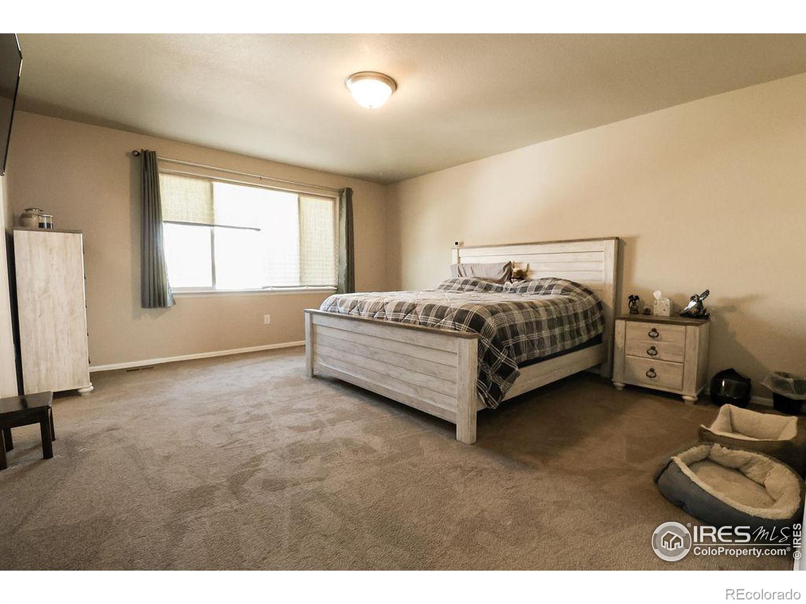 MLS Image #16 for 470  mt belford drive,severance, Colorado