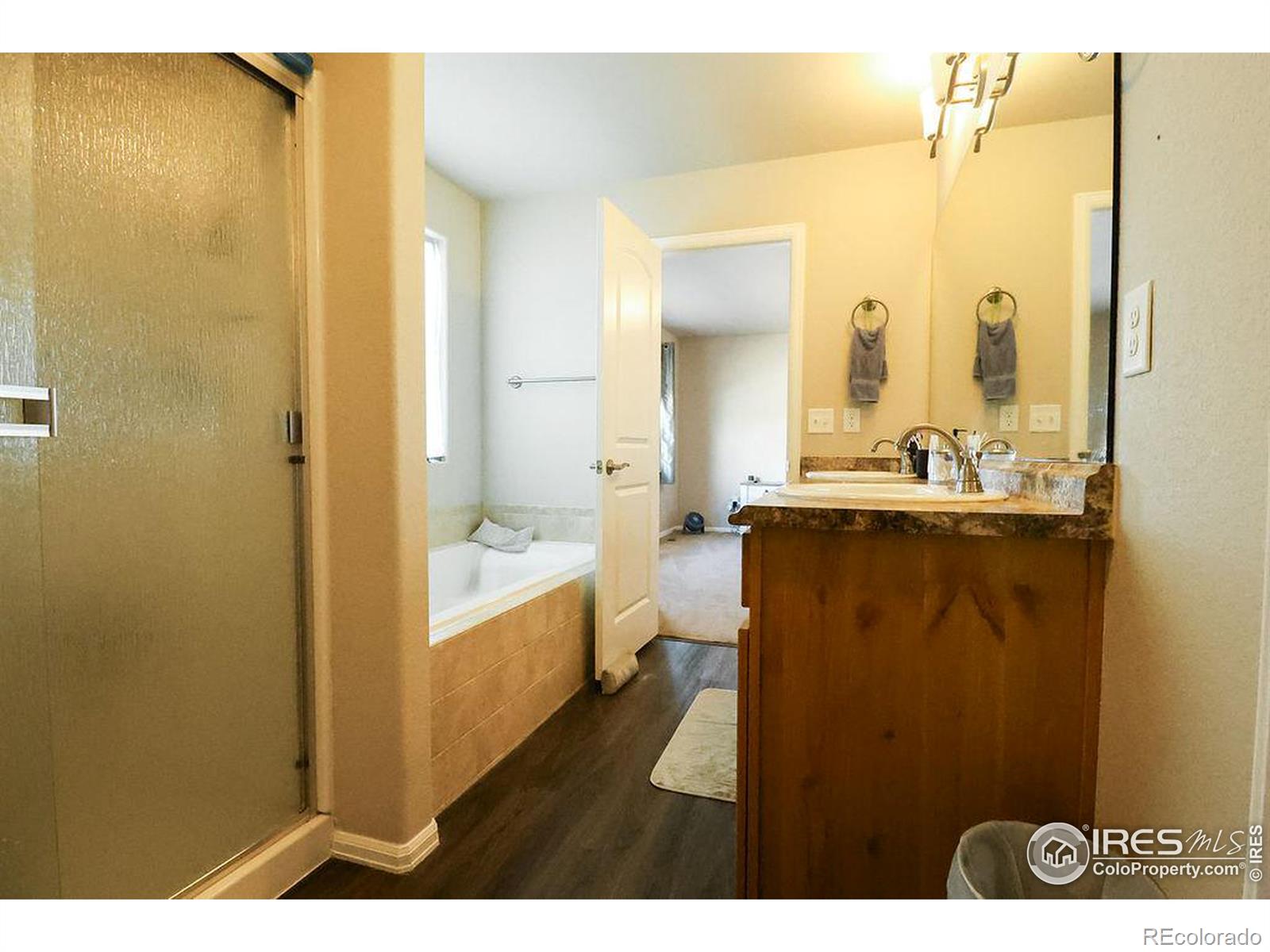 MLS Image #19 for 470  mt belford drive,severance, Colorado