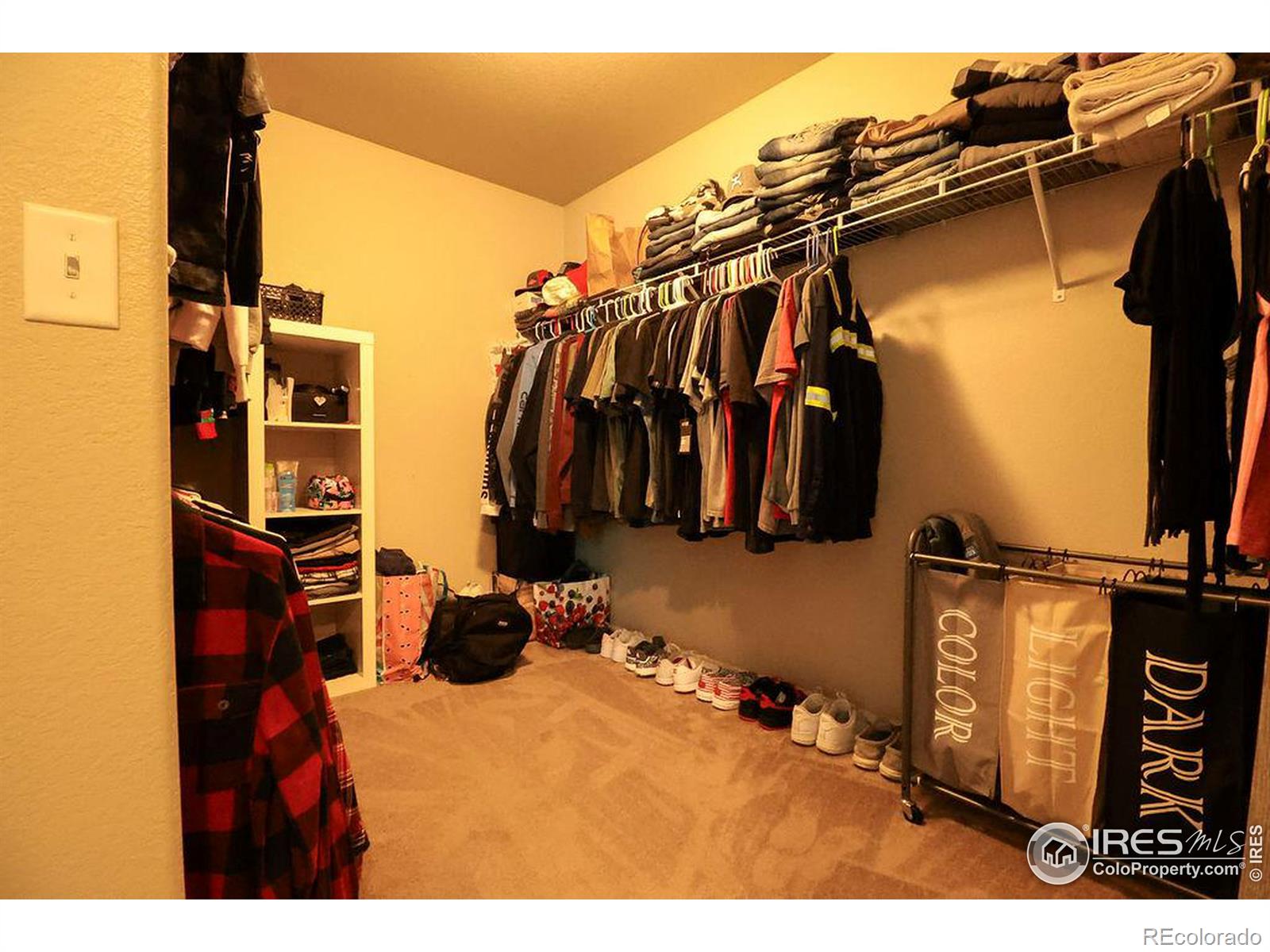 MLS Image #20 for 470  mt belford drive,severance, Colorado
