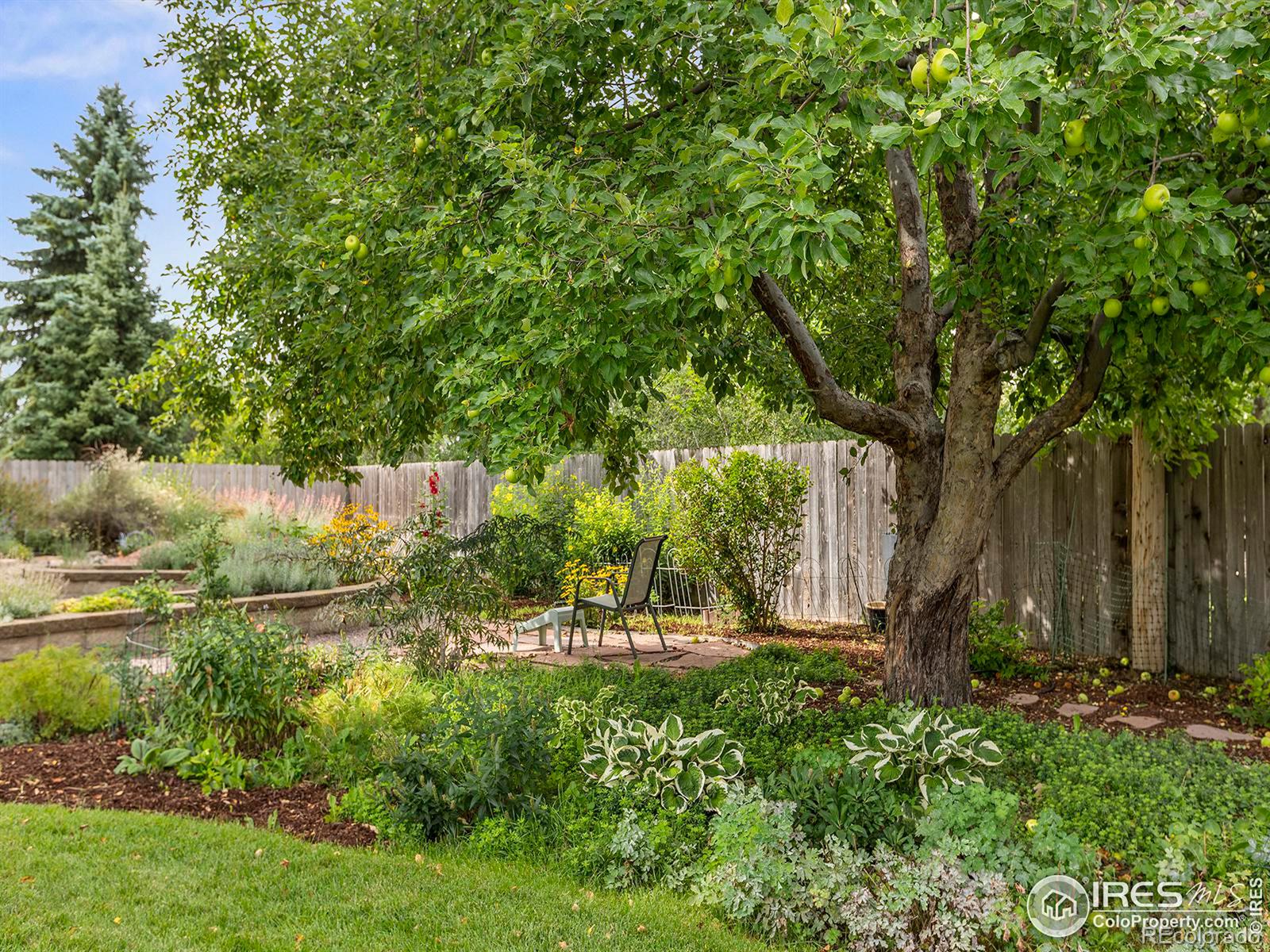 MLS Image #23 for 3609  kenyon drive,fort collins, Colorado