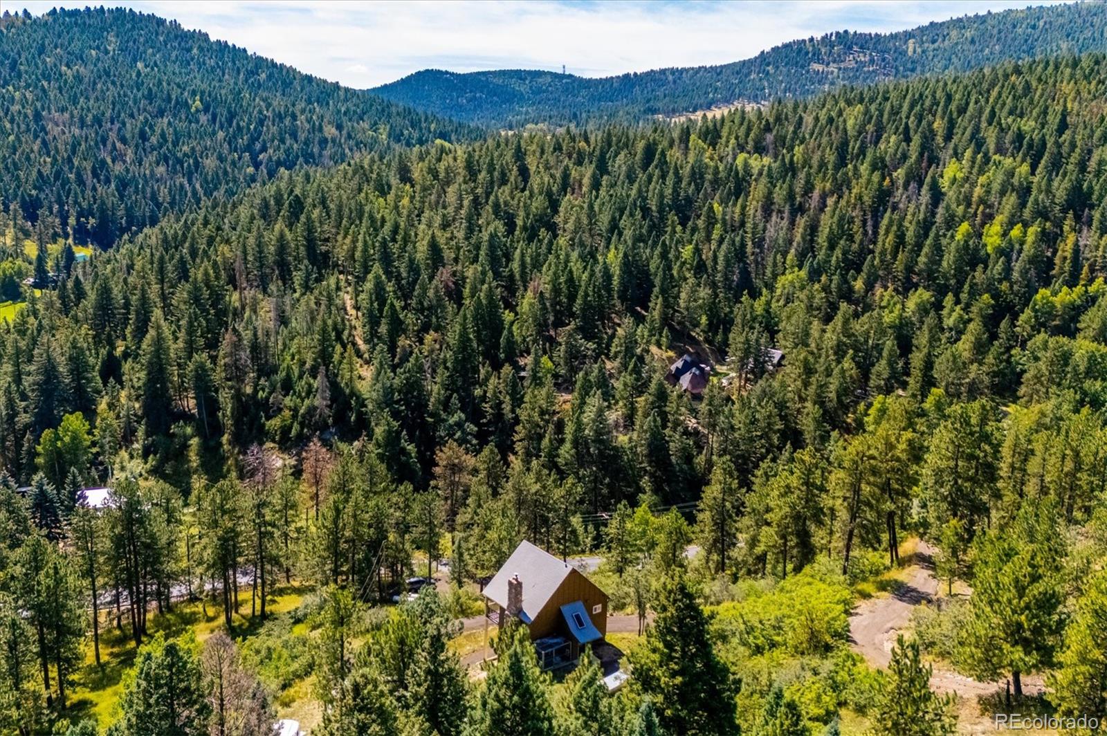 MLS Image #20 for 18339  pleasant park road,conifer, Colorado