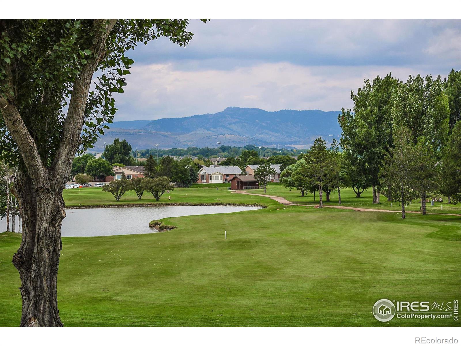 MLS Image #25 for 950  southridge greens boulevard,fort collins, Colorado