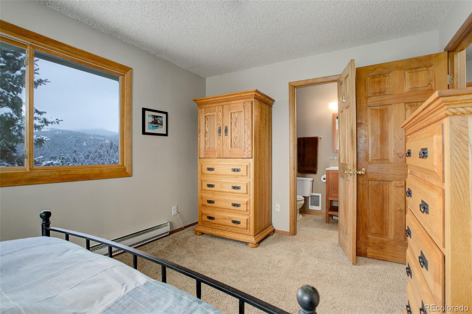 MLS Image #18 for 7263  silverhorn drive,evergreen, Colorado